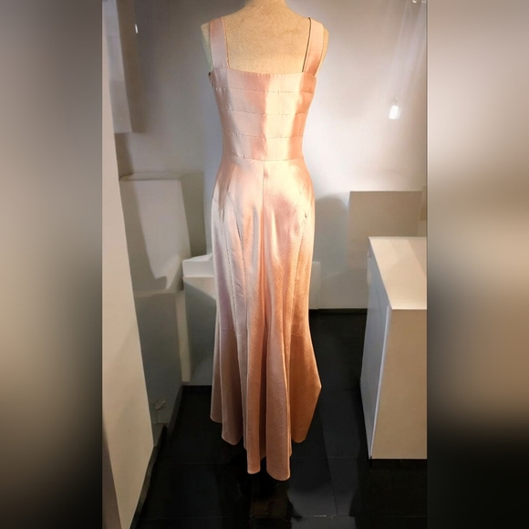 Source Unknown Blush Midi Dress - Picture 5 of 9